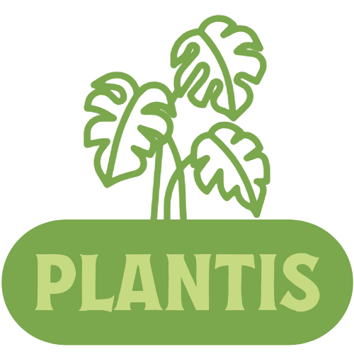 Plantis